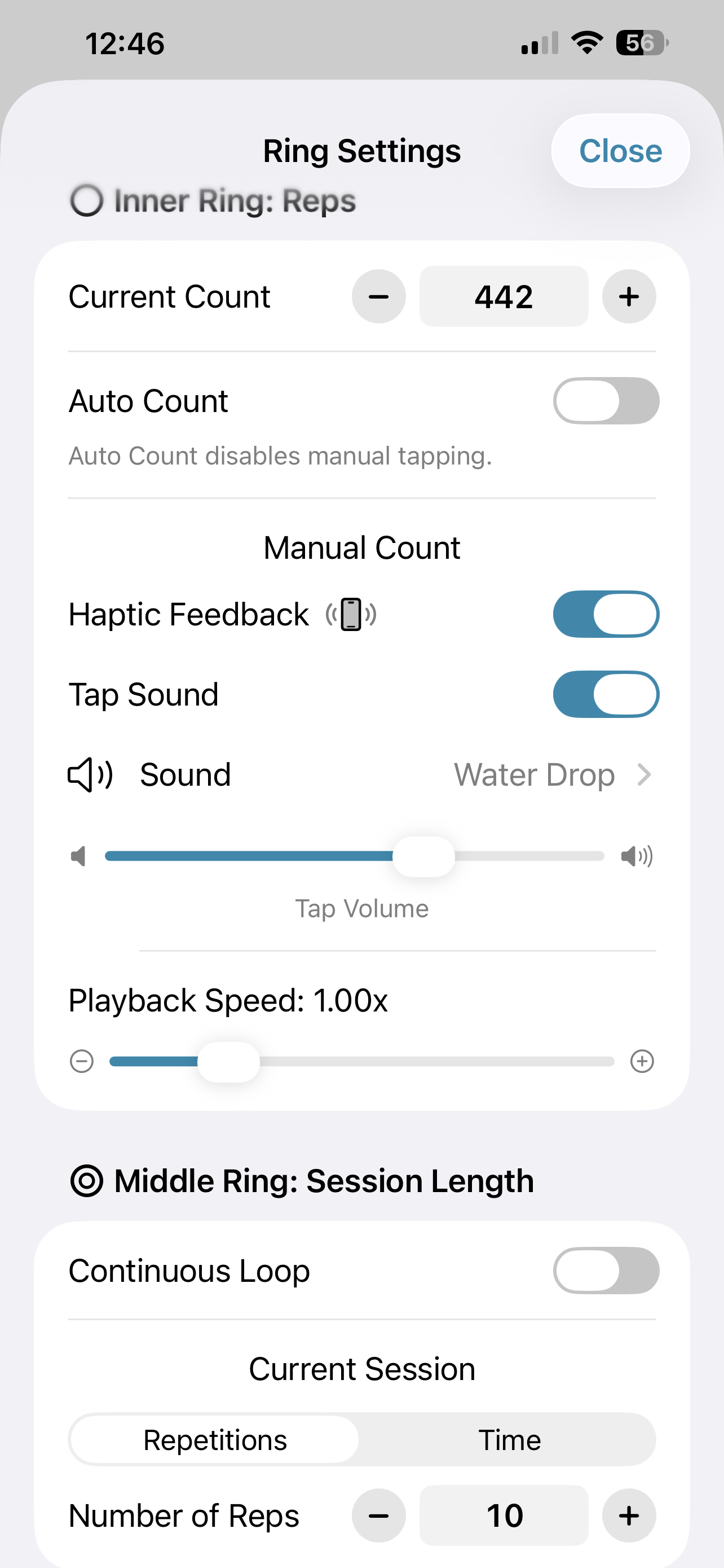 Ring Settings panel